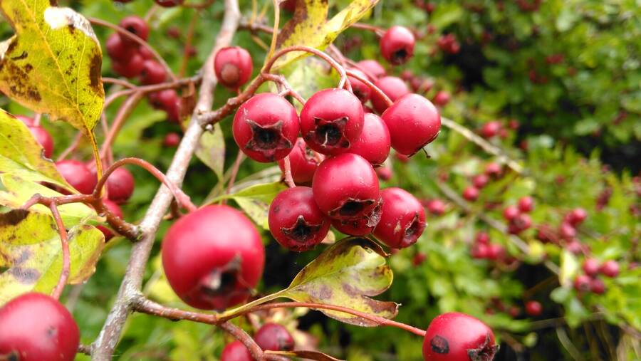 photographer Dave Wells uncategorized  photo