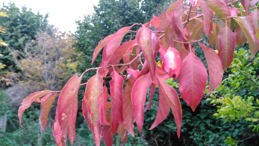 photographer Dave Wells uncategorized  photo