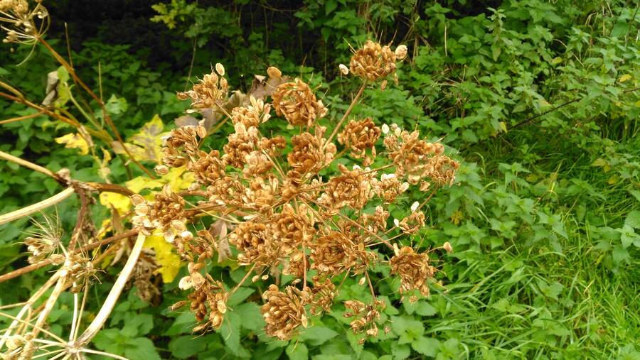 photographer Dave Wells uncategorized  photo