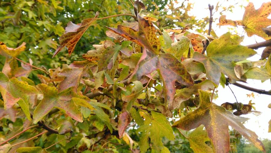 photographer Dave Wells uncategorized  photo