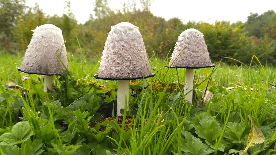 photographer Dave Wells uncategorized  photo