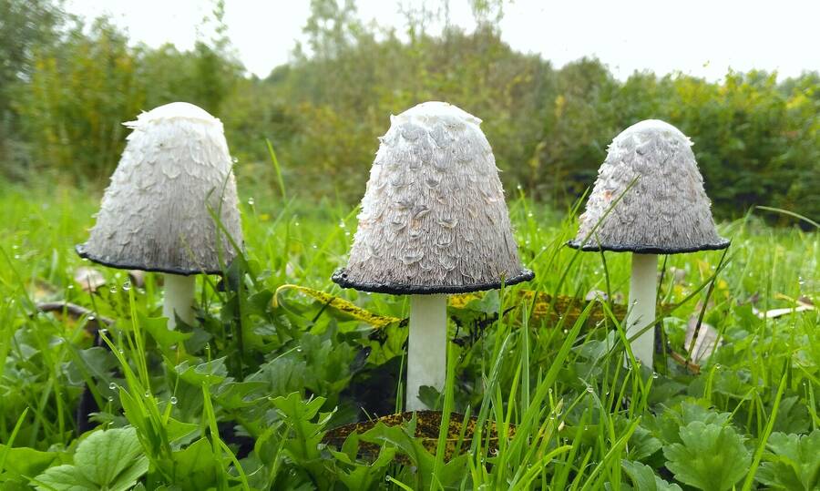 photographer Dave Wells uncategorized  photo