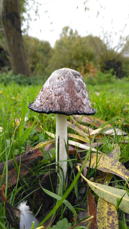 photographer Dave Wells uncategorized  photo