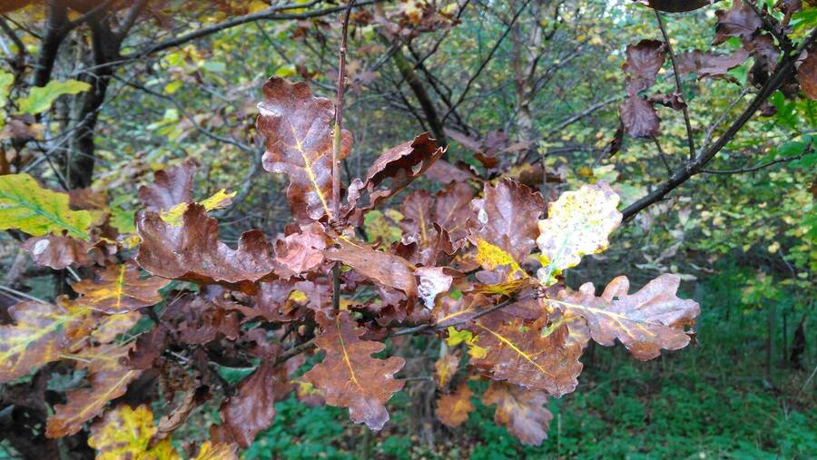 photographer Dave Wells uncategorized  photo