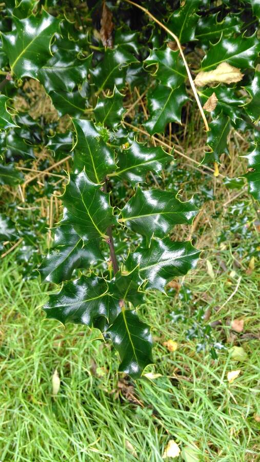 photographer Dave Wells uncategorized  photo