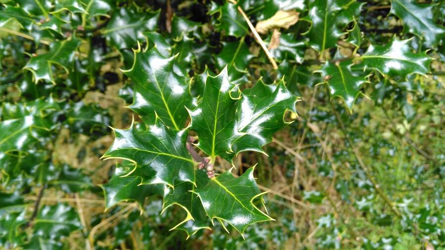 photographer Dave Wells uncategorized  photo