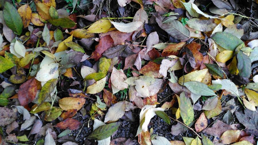 photographer Dave Wells uncategorized  photo