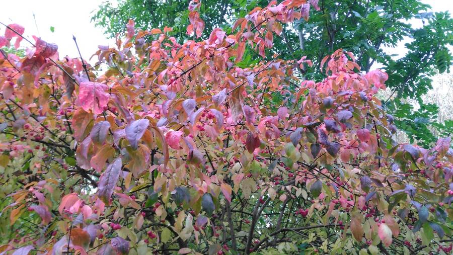 photographer Dave Wells uncategorized  photo