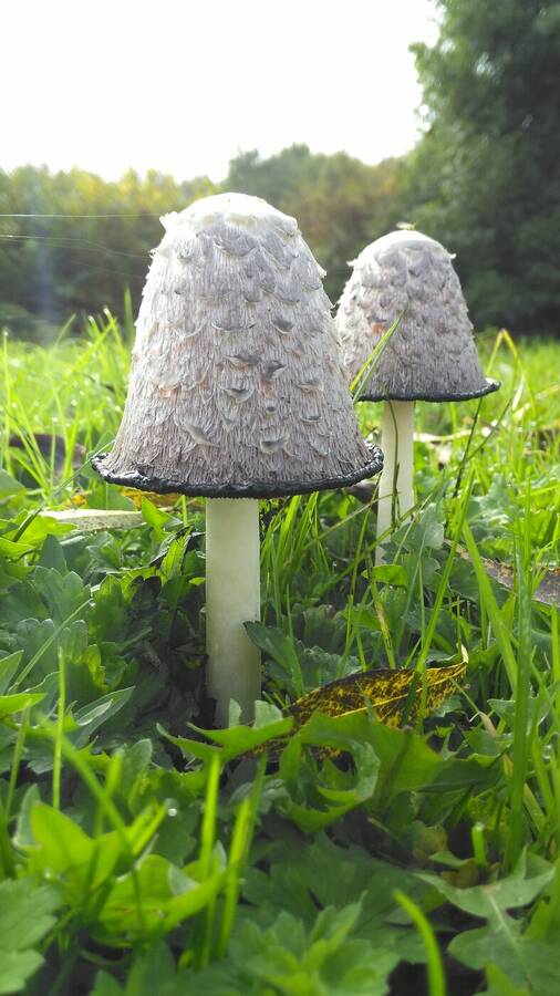 photographer Dave Wells uncategorized  photo