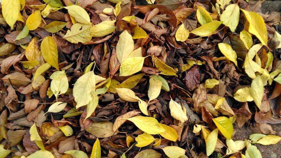 photographer Dave Wells uncategorized modelling photo