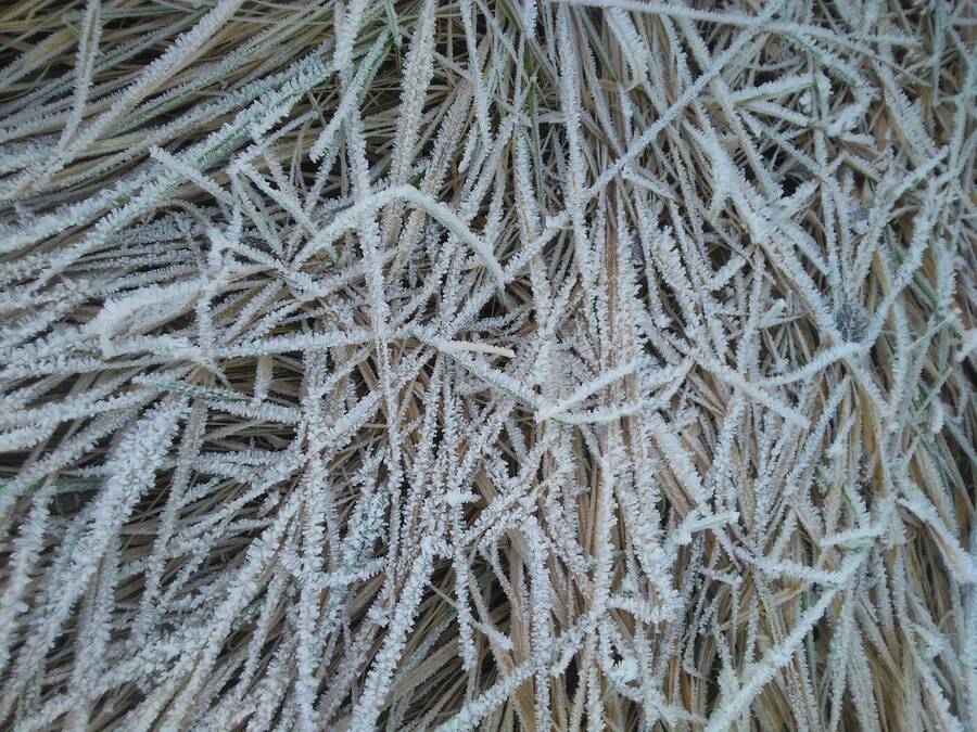 photographer Dave Wells uncategorized  photo