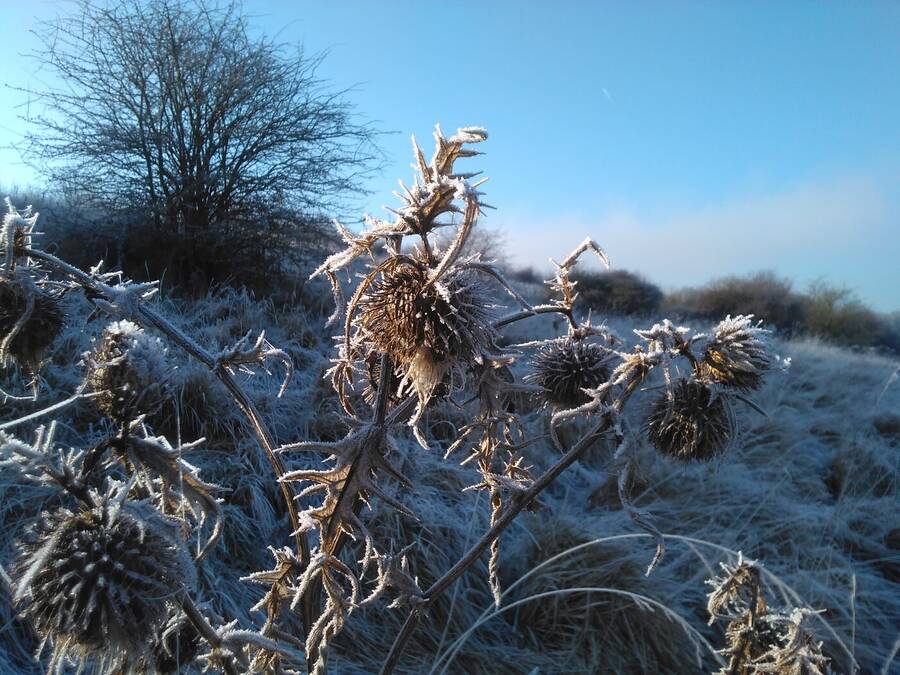 photographer Dave Wells uncategorized  photo