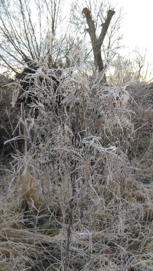 photographer Dave Wells uncategorized  photo