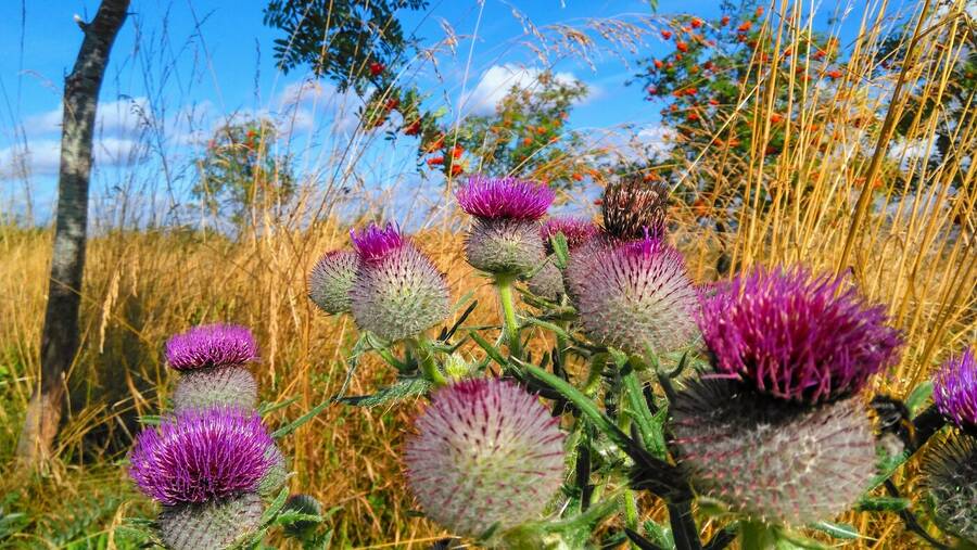 photographer Dave Wells uncategorized  photo