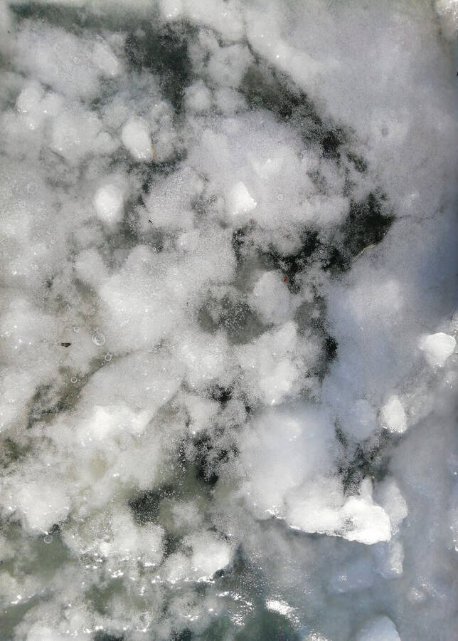 photographer Dave Wells uncategorized  photo