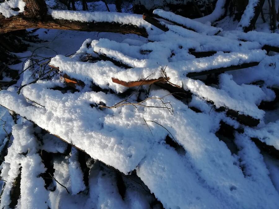 photographer Dave Wells uncategorized  photo