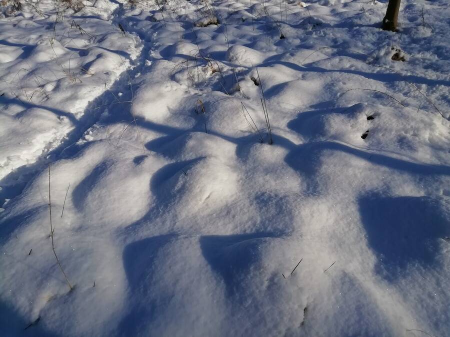 photographer Dave Wells uncategorized modelling photo