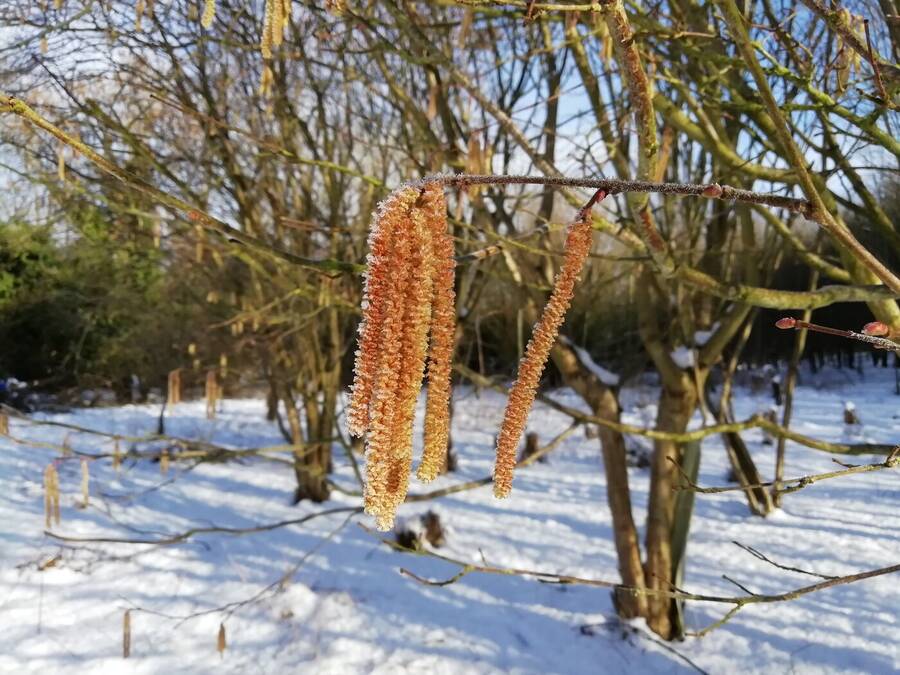 photographer Dave Wells uncategorized  photo