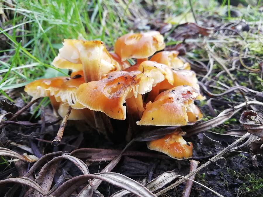 photographer Dave Wells uncategorized  photo