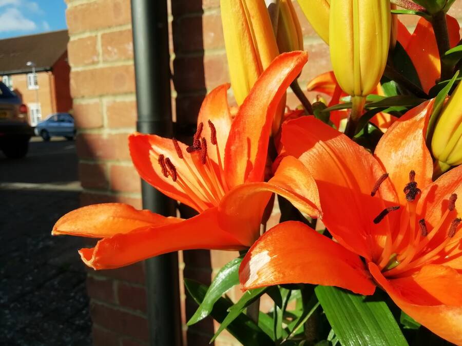 photographer Dave Wells uncategorized  photo