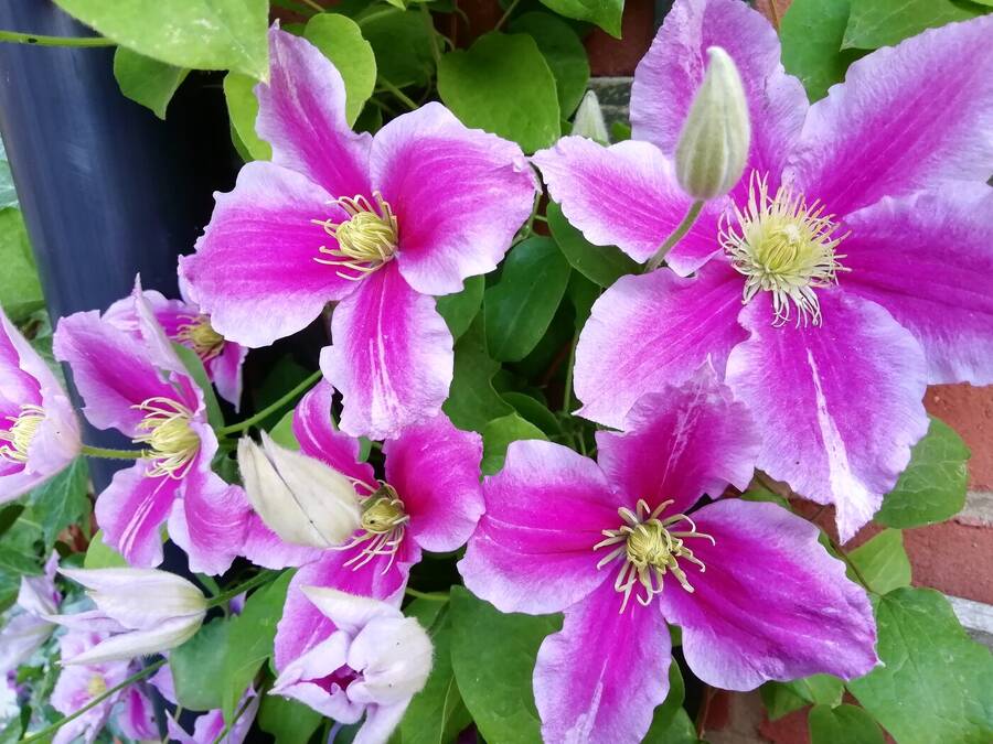 photographer Dave Wells uncategorized  photo