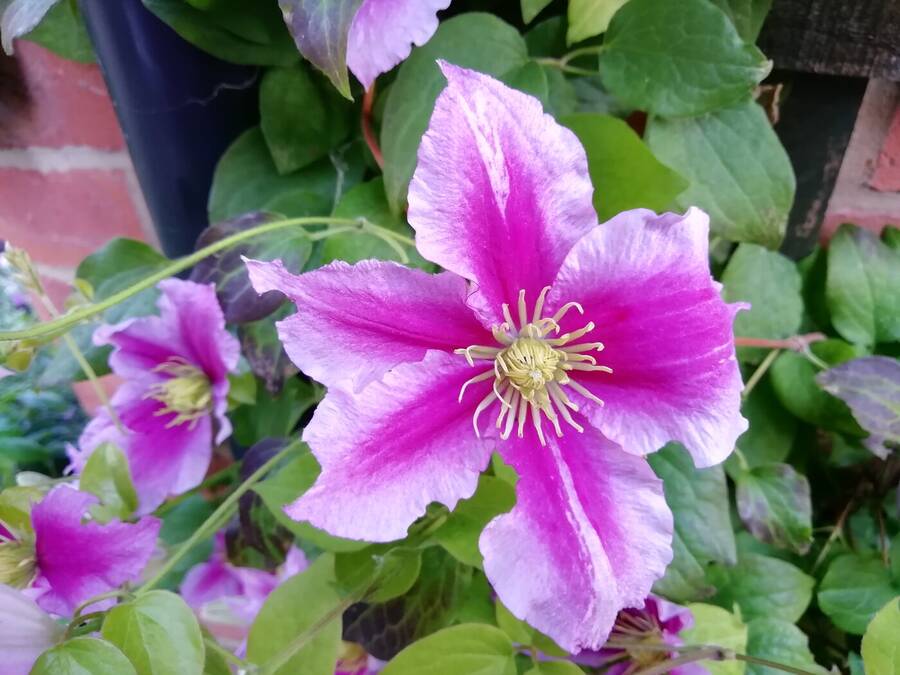 photographer Dave Wells uncategorized  photo