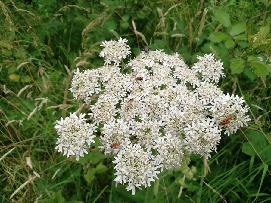 photographer Dave Wells uncategorized  photo