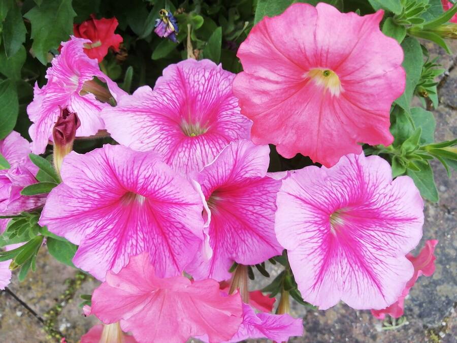 photographer Dave Wells uncategorized  photo