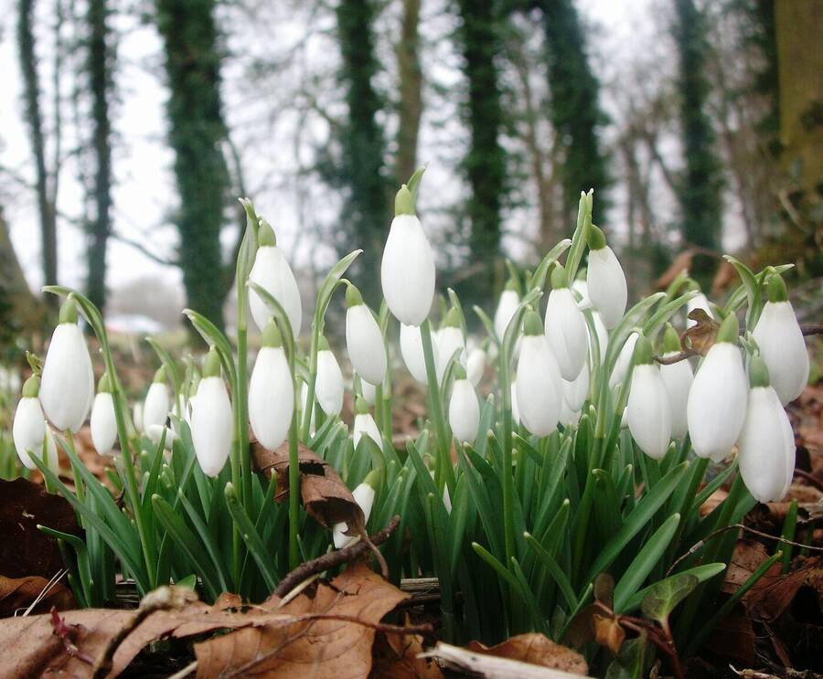 photographer Dave Wells uncategorized  photo