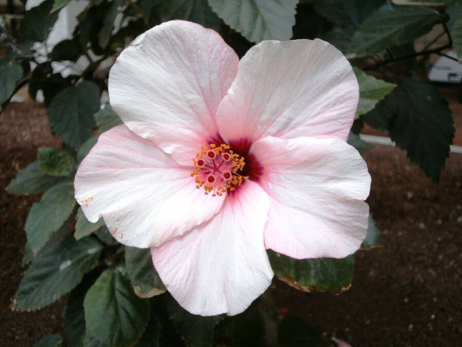 photographer Dave Wells uncategorized  photo