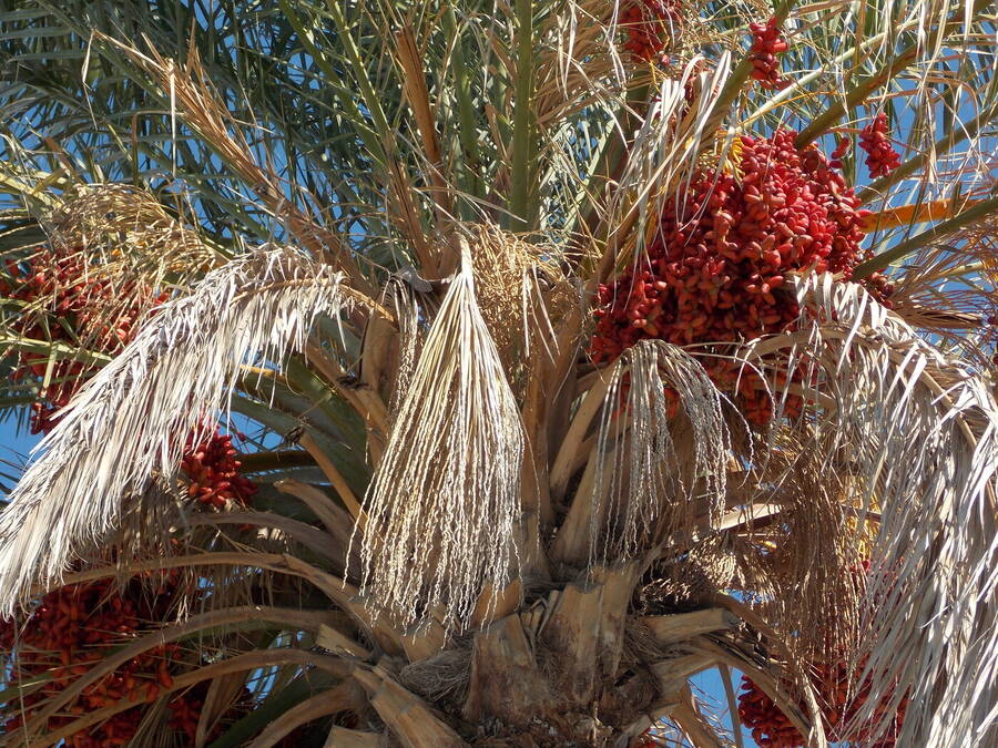 photographer Dave Wells uncategorized  photo