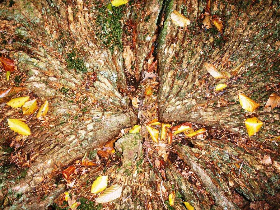 photographer Dave Wells uncategorized  photo