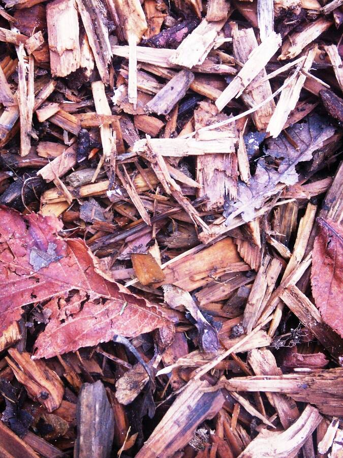 photographer Dave Wells uncategorized  photo