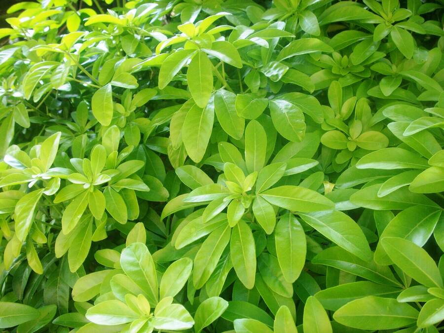 photographer Dave Wells uncategorized  photo