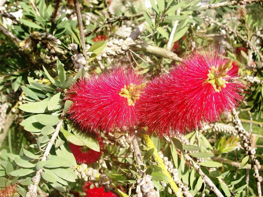 photographer Dave Wells uncategorized  photo