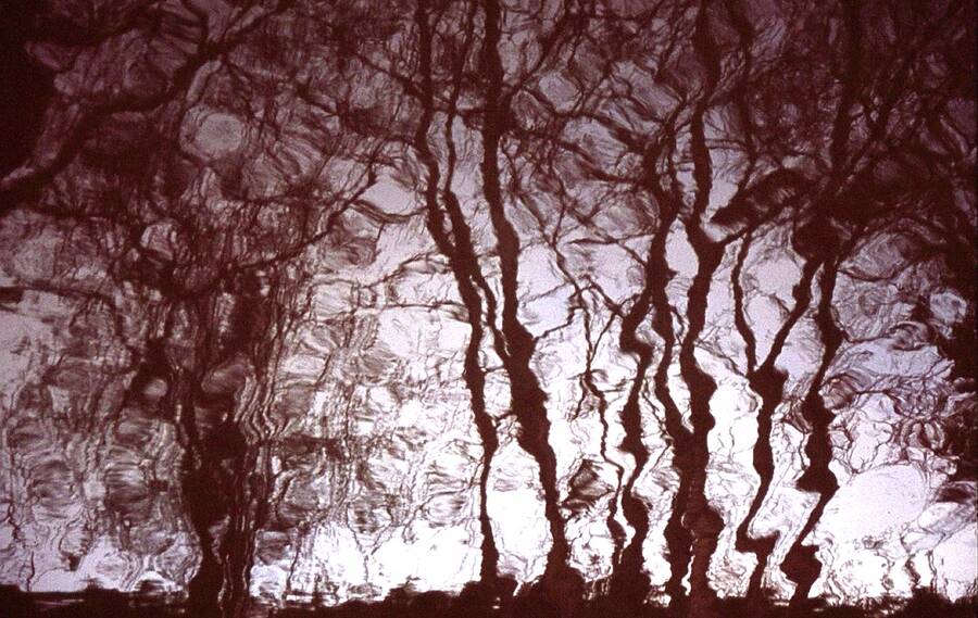 photographer Dave Wells uncategorized  photo