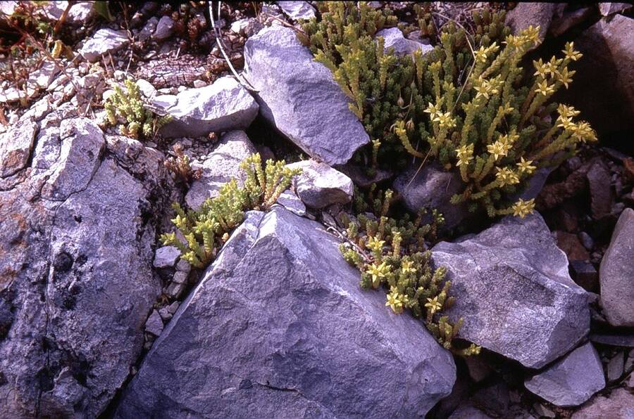 photographer Dave Wells uncategorized  photo