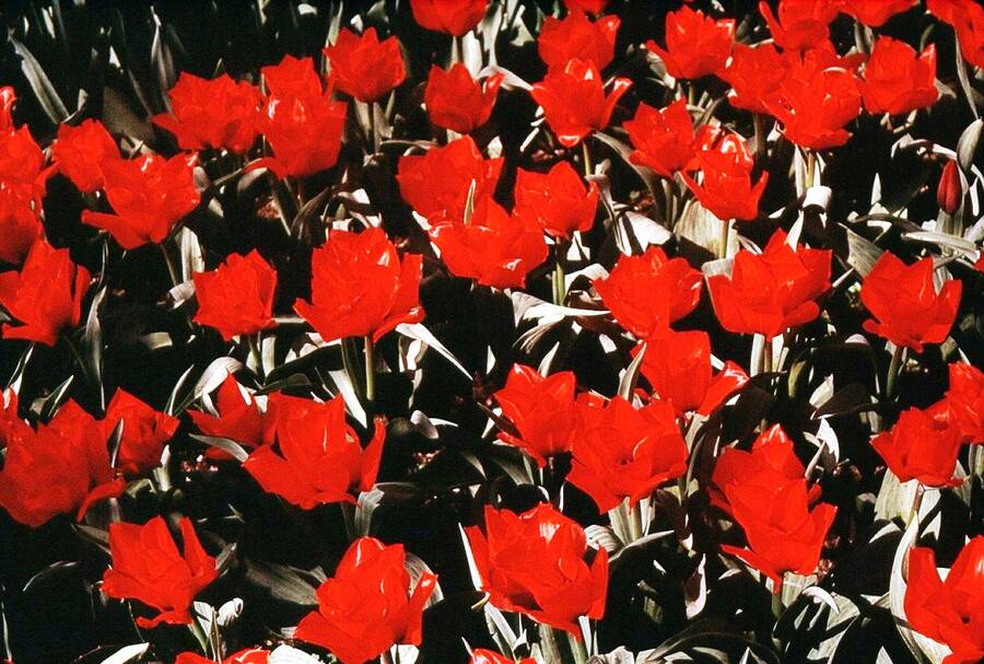 photographer Dave Wells uncategorized  photo