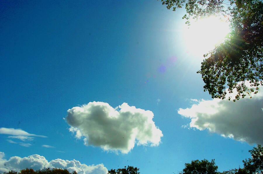 photographer Dave Wells uncategorized  photo