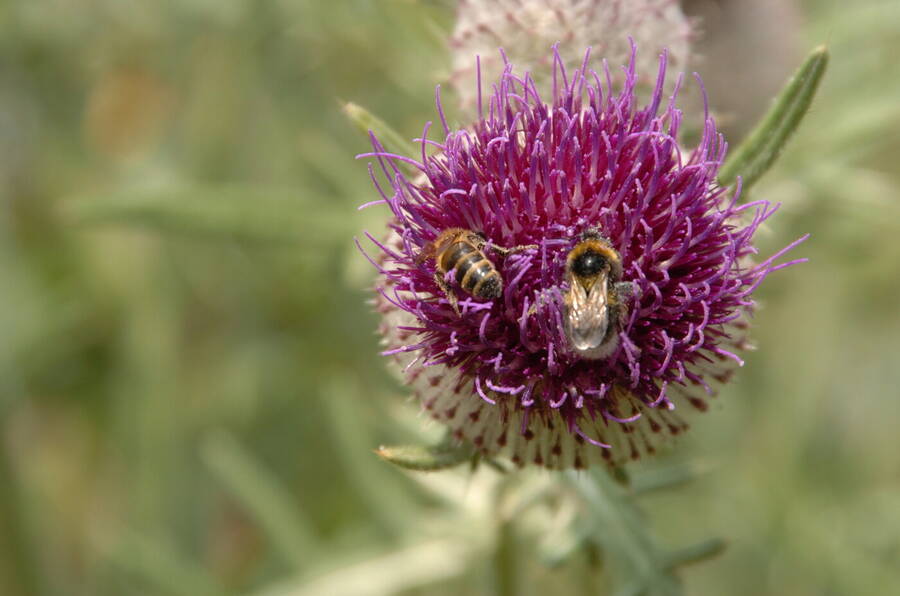 photographer Dave Wells uncategorized  photo