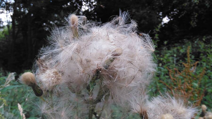 photographer Dave Wells uncategorized  photo