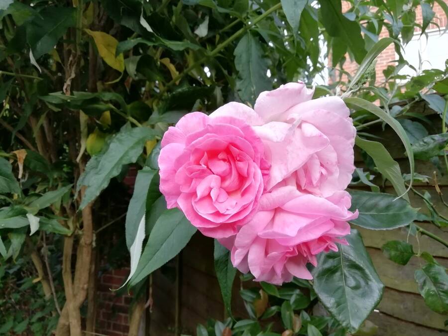 photographer Dave Wells uncategorized  photo