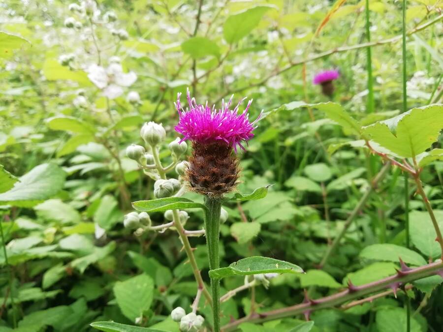 photographer Dave Wells uncategorized  photo