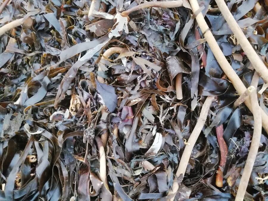 photographer Dave Wells uncategorized  photo