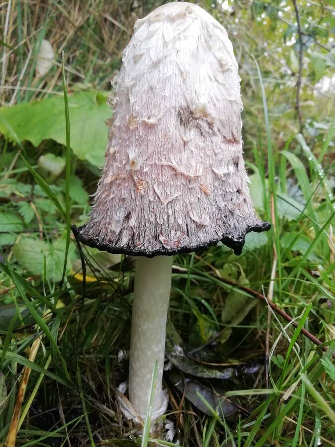 photographer Dave Wells uncategorized  photo