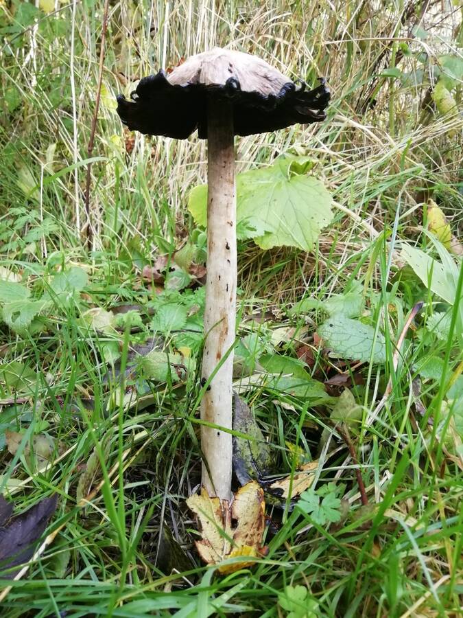 photographer Dave Wells uncategorized  photo