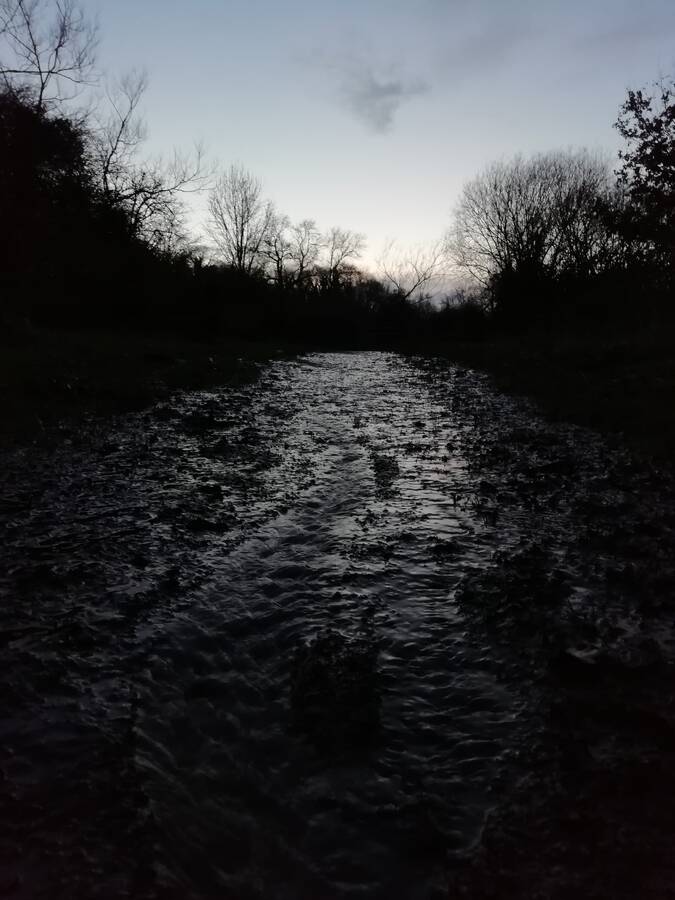 photographer Dave Wells uncategorized  photo