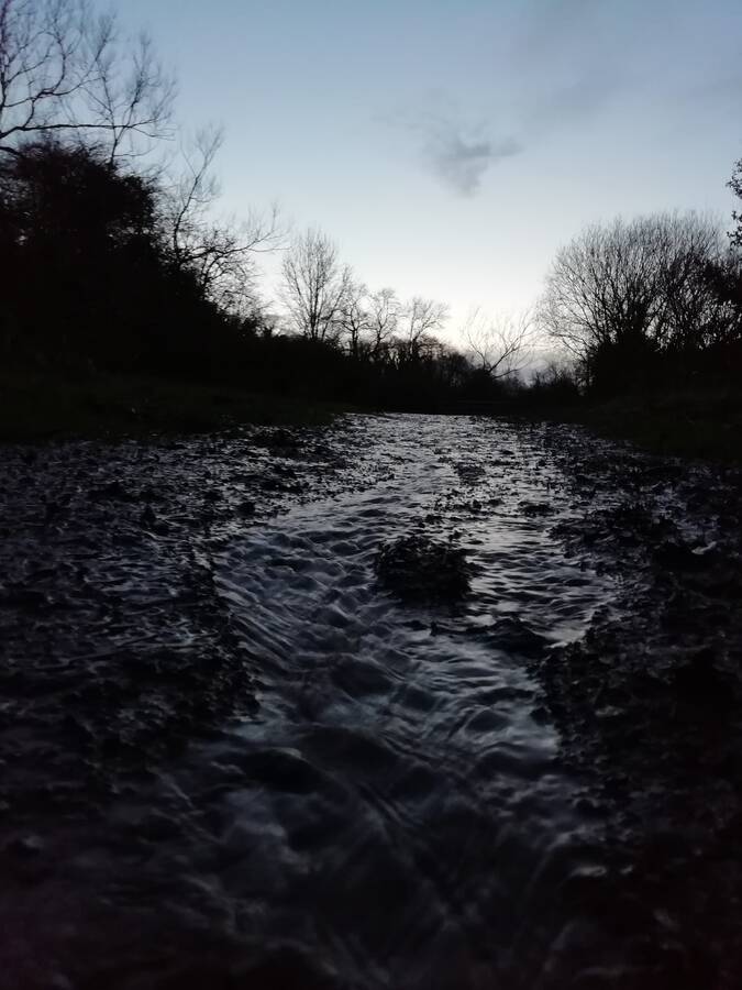 photographer Dave Wells uncategorized  photo