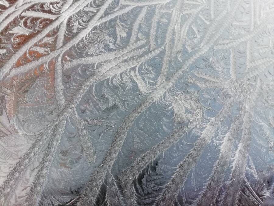 photographer Dave Wells uncategorized  photo