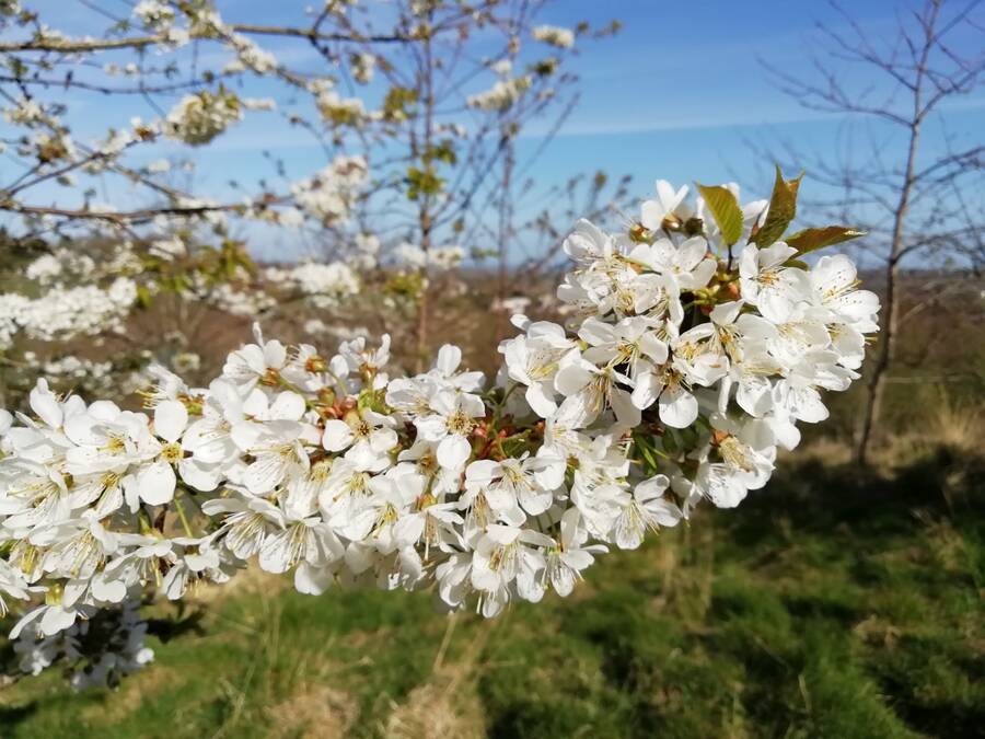 photographer Dave Wells uncategorized  photo